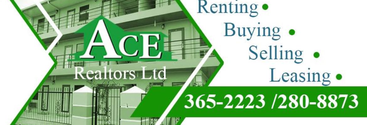 Ace Realtors Ltd