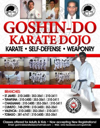 Goshin-Do Karate Dojo