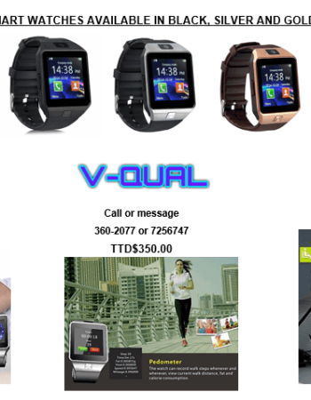 V-Qual Enterprises