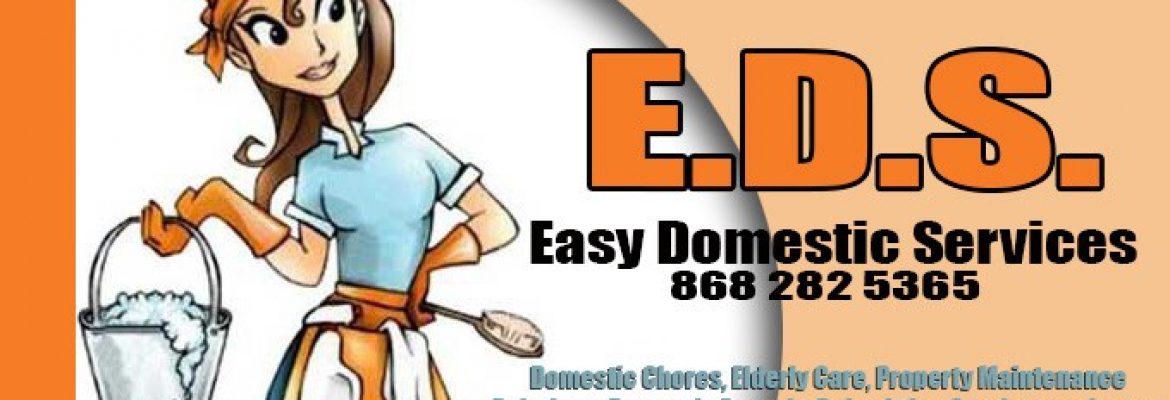 Easy Domestic Services