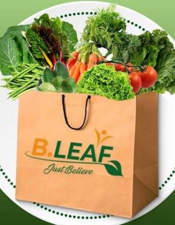 B Leaf Marketing and Distribution LTD