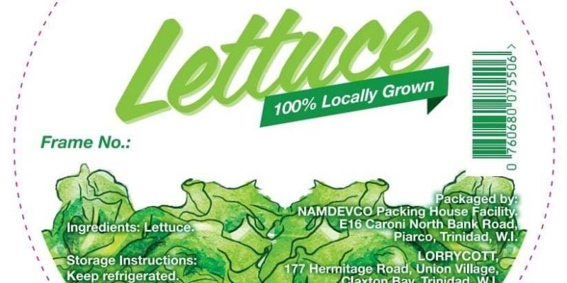 Lorrycott Hydroponics Lettuce and Vegetables