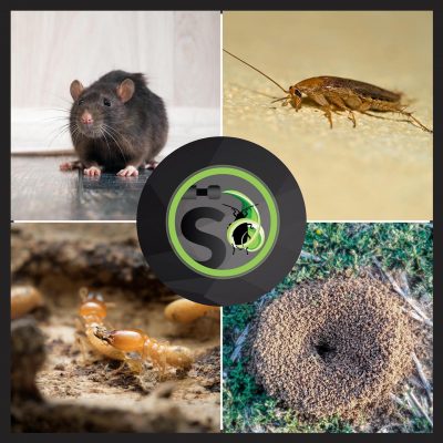 Sprayway Limited Pest Control Services