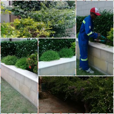 Juntaw Landscaping Company Limited