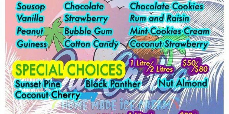 Our Choice Homemade Ice Cream Delights